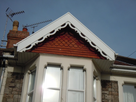 latest pics 006.JPG