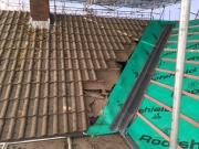 New Roof 4